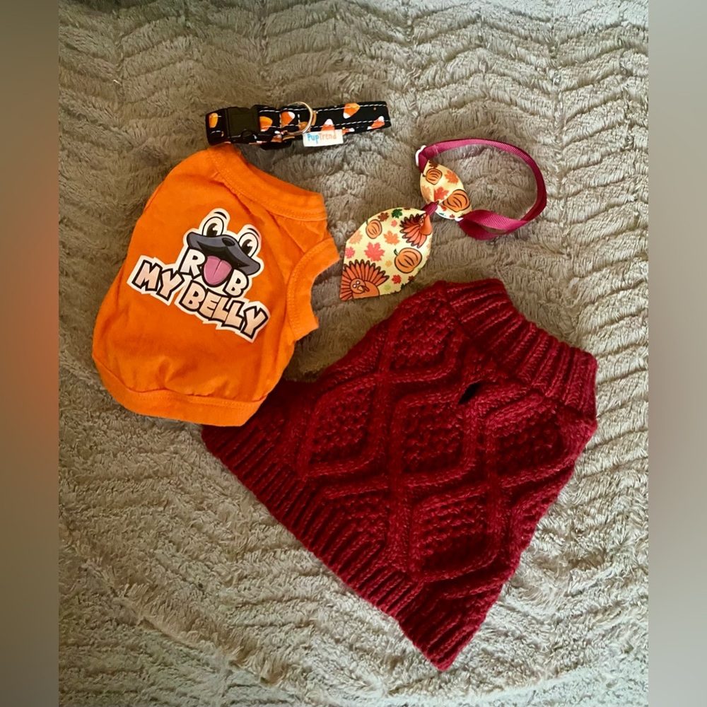 Small dog cute Fall accessories bundle 🎃